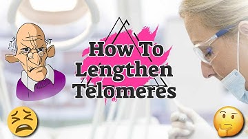 🆕 The Role of Telomere Shortening In Aging Telomeres And Mortality Honest Video