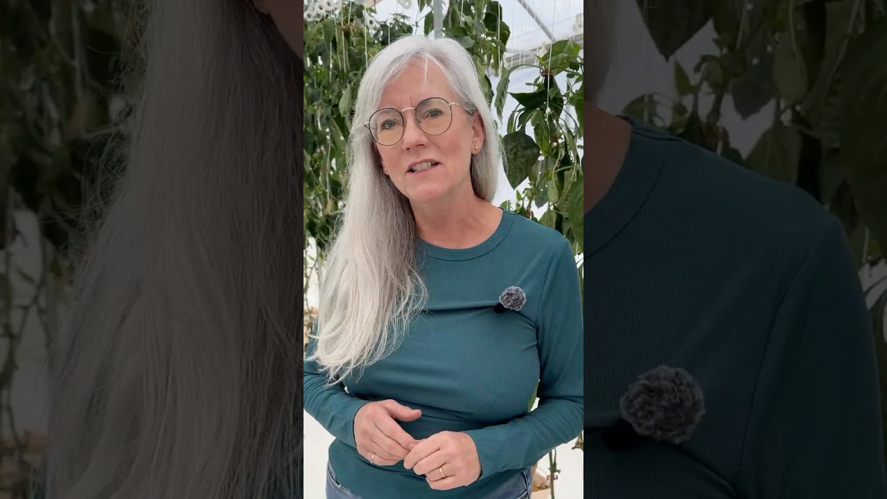 The boring way to massive yields #hydroponics #farming #hack