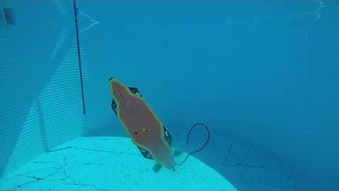 SUNFISH® AUV Demonstrates Six-Degree-of-Freedom Control, Docking, and Obstacle Avoidance