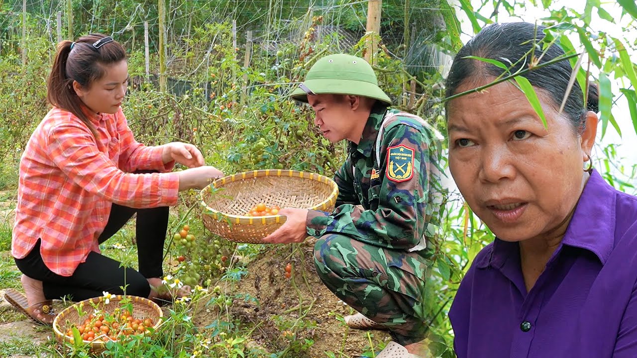 Husband helped me with house chores, but mother-in-law secretly plotted to harm me