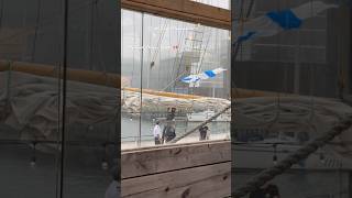 FLAG FLYING AWAY 🏳️ #novascotia #halifax #flag #tallship #youtube #shorts #travelshorts #short #yt