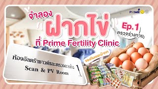 [ฝากไข่ Ep.1] อยากฝากไข่แต่ไม่รู้จะเริ่มยังไงดี คลิปนี้บอกหมดไม่มีกั๊ก | Prime Fertility Clinic