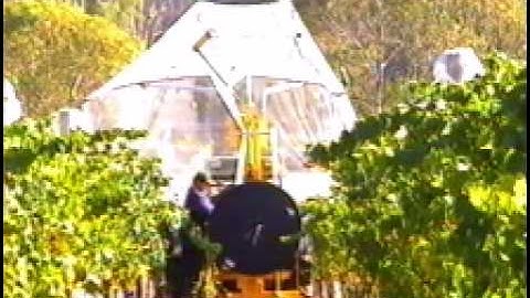 Bird Netting Grape Vines Recovery 2 Rows-2 0408 241 998