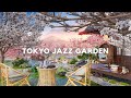 Springtime at Tokyo outdoor coffee shop garden / Morning bossa nova  / Sunrise Fuji mountain view