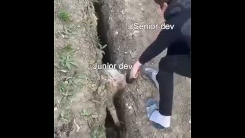 Junior Developer Vs Senior Developer #memes #shorts #codezebro