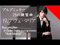 Burgmüller : 25 Etudes "Ave Maria" Op.100-19 (Performance) / ブルグミュラー：25の練習曲 19番 "アヴェ・マリア" (映像付き)