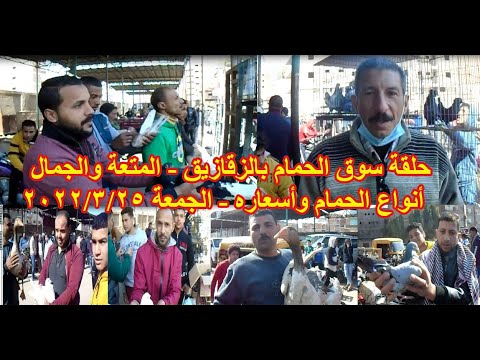 حلقة سوق الحمام بالزقازيق مع المتعة والجمال الجمعة 2022 3 25