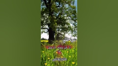 شیخ هشام الهاشمي تلاوت قرآن كريم سورة الفتح #تلاوة_خاشعة #allyoutube@ syed hisham 5