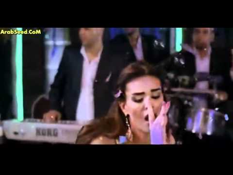 الهانص في الدانص