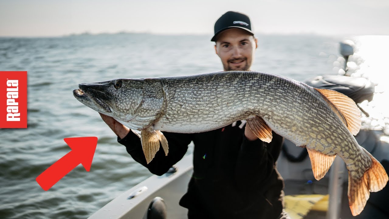 Ultimate Finesse Fishing Masterclass with Niels Peirsman & Johannes