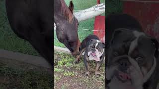 One Little Bite Viralhog