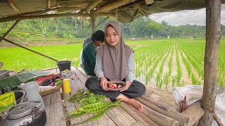 Gadis Desa Cianjur IDAMAN, Cantik dan Pandai Memasak. Ngeliwet Di Sawah | Suasana Pedesaan Sunda