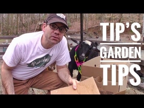 earthworms near me Simple & CHEAP Weed Control (TIP'S TIP) FREE Weed Mat - FREE Weed Barrier