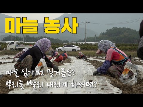 유튜브 미리보기