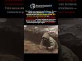 El Soldado Ruso que Regresó de la Guerra pero Cavó una Trinchera en su Patio