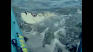 Monster Tarpon Kayak Fishing Pine Island Sound Florida Action Tips