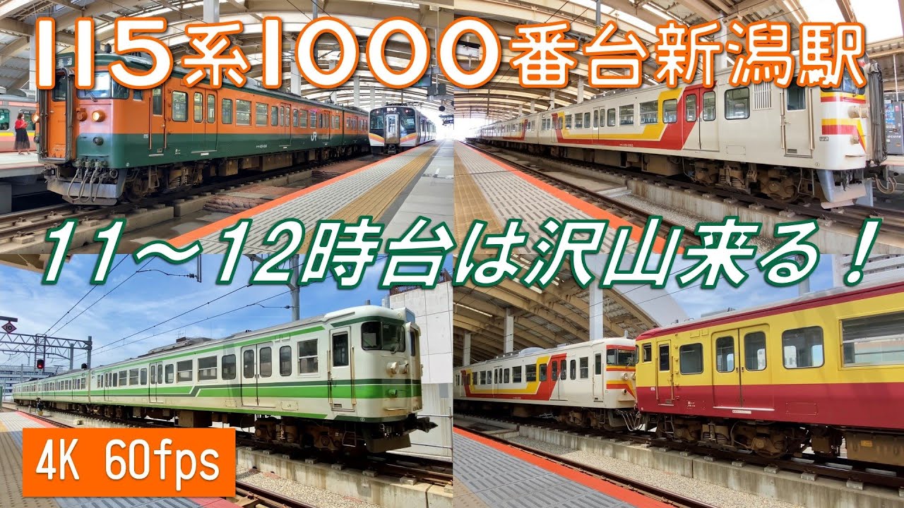 115系 新潟駅 発着集【4K 60fps】