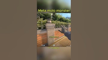 Overpass Meta Monster Molotov CS2 #cs #csgo #cs2 #meta #nades #games