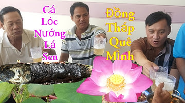 Hương Vị Miền Tây Đồng Tháp Quê Mình / Cá Lóc Nướng Lá Sen / Kiềm Rapper 158