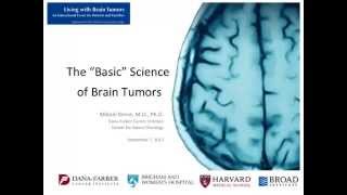 The Basic Science of Brain Tumors | Dana-Farber Cancer Institute