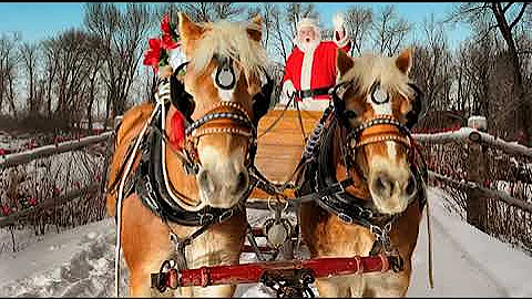The Ronettes - Sleigh Ride