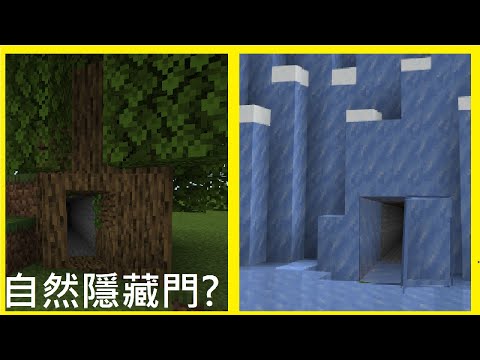 製作Minecraft自然隱藏門?!