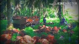 STORY WA 30 DETIK SEDIH BIKIN BAPER || ANAK RANTAU TERBARU 2021