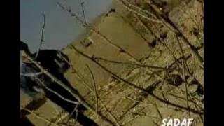 Ali Baba Pakistani Pop 2001