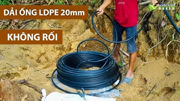 [Phần 3] Hướng Dẫn Lắp Đặt Hệ Thống Tưới: Dải Ống LDPE 20 Không Rối