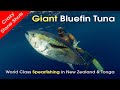 Spearfishing New Zealand Bluefin Tuna & Tonga with MJK