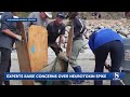 Surge in sick sea lions along Central Coast prompts investigation