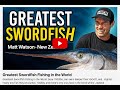 Monster Catfish Caught in the Bahamas | Unbelievable Sea Monster Adventure!