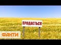 До $2 тысяч за гектар. Какой будет цена земли после отмены моратория на продажу