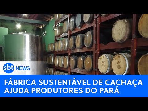 Agro: Fábrica sustentável de cachaça ajuda produtores no Pará | #SBTNewsnaTV (23/07/23)