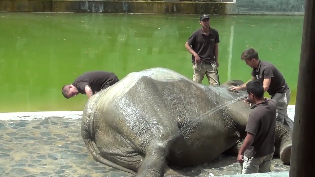 Mala having some nice massage 22/07/2020