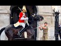 Incredible horse rescue royal guards unforgettable act of heroism