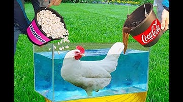 Experiment: Chicken vs Coca Cola vs 1000 Mentos Under Water!