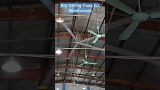 HVLS fan, Big Ceiling Fans for Warehouses #ceiling #ceilingfan