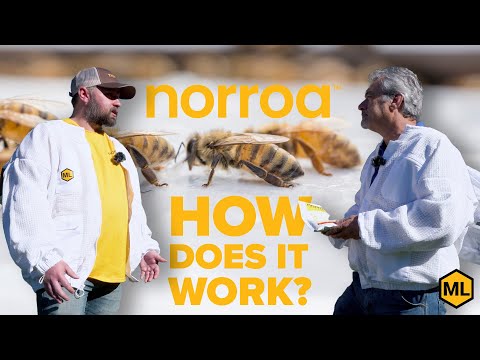 How does Norroa Stop Mites before they Even Grow? Q&A - video from Mann Lake
