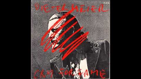 Dieter Meier - The Hook