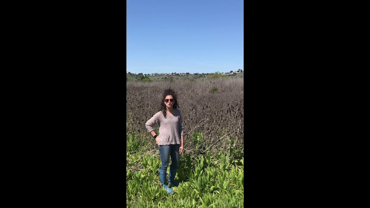 Outstanding in my field