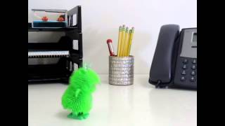 Wind Up Puffer Frog