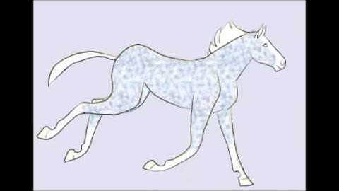 Horse Running Animation