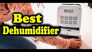 Consumer Reports Best Dehumidifier