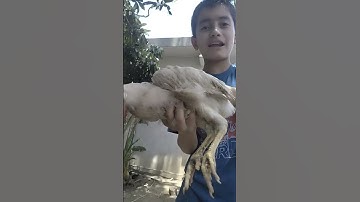 My first Vlog #firstvlog #vlog