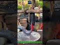 전통 방식으로 생철을 두드려 만든 빠루 #worker #process #blacksmith #forging #crowbar