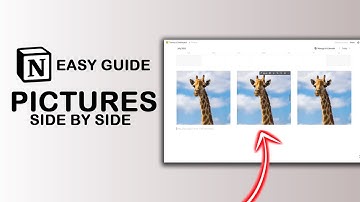How to Put Images Side by Side on Notion (Easy Guide)