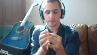 Purple Haze on Harmonica (Jimi Hendrix Tribute)