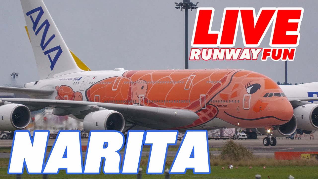 ホヌ3号機お迎えライブ 着陸は54分ごろです Anaのa380ホヌ3号機をお迎えしよう 成田空港 16 Oct 21 Narita Airport Live Youtube ホヌ3号機お迎えライブ 着陸は54分ごろです Anaのa380ホヌ3号機をお迎えしよう 成田空港 16 Oct 21 Narita Airport Live Youtube
