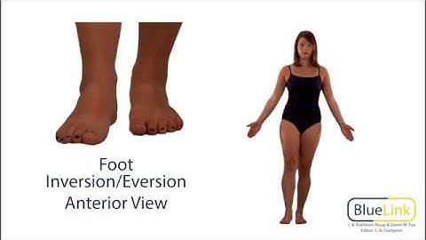 Foot Inversion Eversion